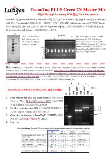 EconoTaq PLUS Green 2X Master Mix - 波仕特生物科技股份有限公司