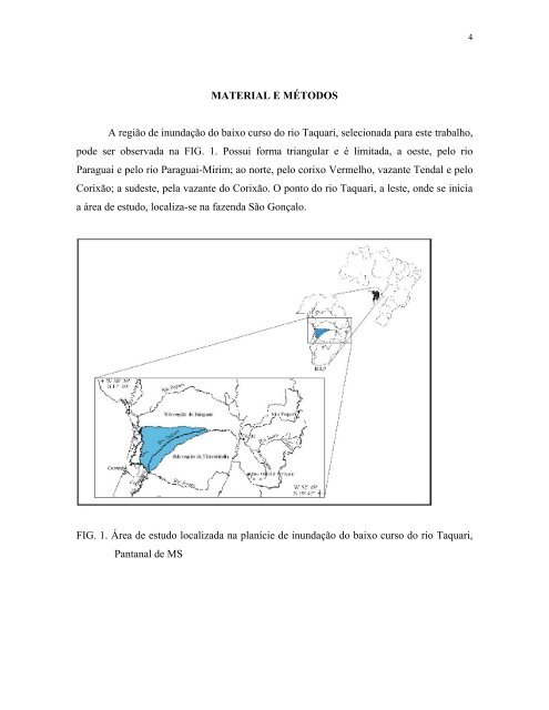 Mapeamento e QuantificaÃ§Ã£o das Fitofisionomias da Ãrea Alagada ...