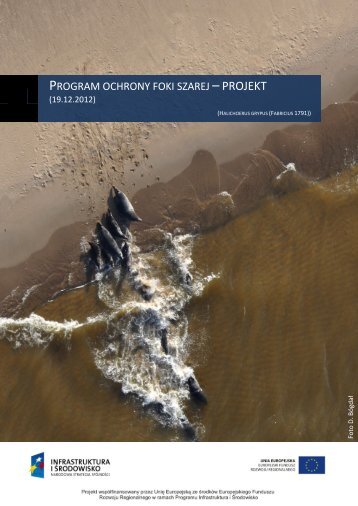 Program ochrony foki szarej - WWF