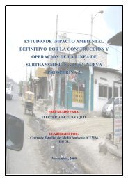 estudio de impacto ambiental definitivo por la ... - CONELEC