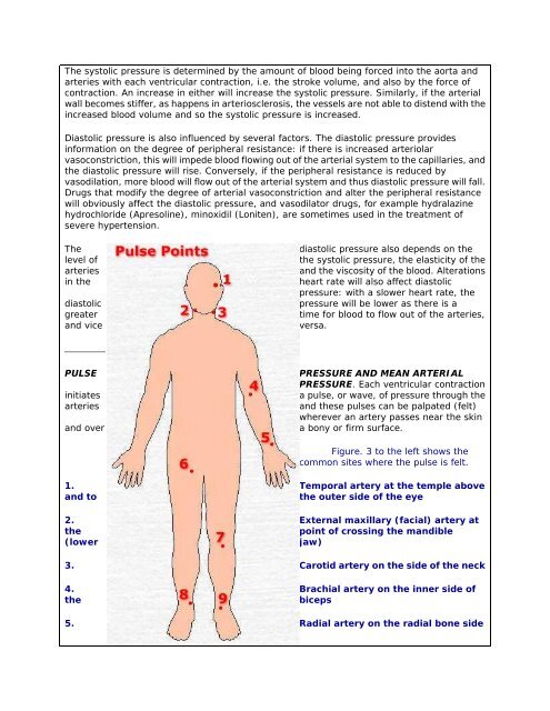 Blood Vessels - Sinoe medical homepage.