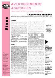 avertissements agricoles 597 vigne - Champagne info