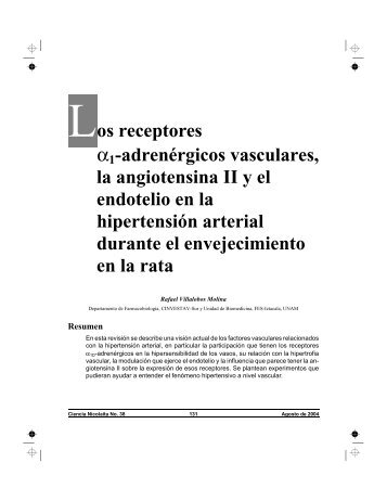 Los receptores Î±1-adrenÃ©rgicos vasculares, la angiotensina II y el ...