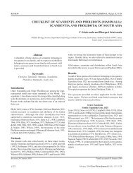 Checklist of Scandents and Pholidots - zoo's print