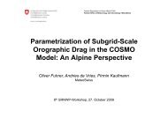 Parametrization of Sub-Grid Scale Orographic ... - C-SRNWP Project