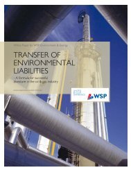 Transfer of environmental liabilities in the oil and gas sector - WSP