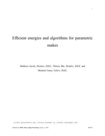 Efficient energies and algorithms for parametric snakes - EPFL