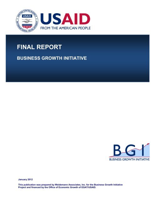 BGI Final Report - Economic Growth - usaid