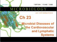 Microbial Diseases of the Cardiovascular and Lymphatic Systems