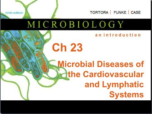 Microbial Diseases of the Cardiovascular and Lymphatic Systems