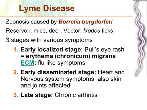 Microbial Diseases of the Cardiovascular and Lymphatic Systems