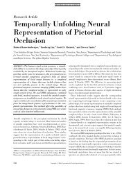 Temporally Unfolding Neural Representation of Pictorial Occlusion