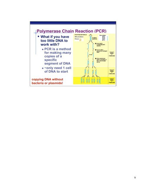 Chapter 20: Biotechnology -- Advanced Techniques - Explore Biology