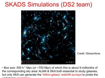 Review of SKADS Sky Simulations