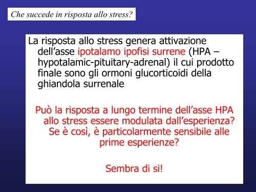 02 NEUROSCIENZE E PSICANALISI.pdf - WikiMotorio