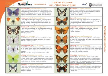 Fiche d'identification des papillons Ã  tÃ©lÃ©charger - Gennevilliers