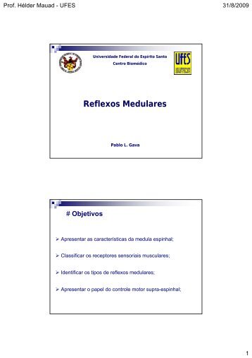 Tipos de Reflexos Medulares