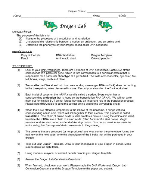 LAB_Dragon Lab.10-11 - nnhsbergbio