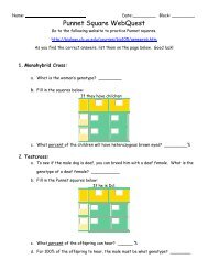 Punnet Square WebQuest