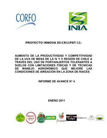 Informe etapa 4 - proyecto uvaconcagua enero 2011 - Platina - INIA
