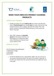 make your own eco-friendly cleaning products - Green Schools Ireland