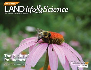 The Plight of Pollinators - The University of Tennessee Institute of ...