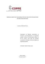 Luciane de Rezende Souza - Programa de Engenharia Nuclear