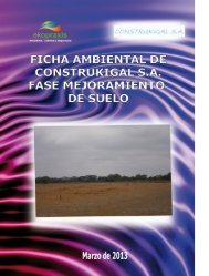 ficha ambiental construki... - Prefectura del Guayas