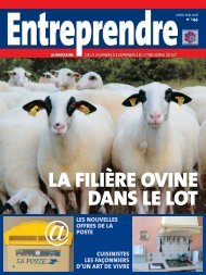 LA FILIÃRE OVINE DANS LE LOT - Lot-cci-magazine.fr