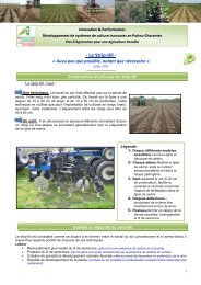 Le Strip-till - La Chambre d'Agriculture de Charente-Maritime.