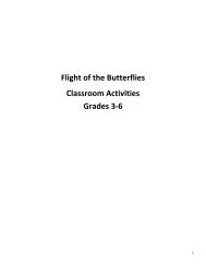 Flight of the Butterflies Classroom Activities Grades 3-6