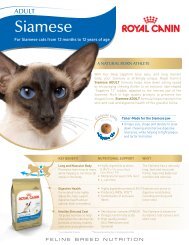 Siamese 38TM - Royal Canin Canada