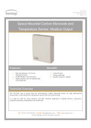 Space Mounted Carbon Monoxide and Temperature ... - Sontay