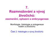 7. Rozmnožování a vývoj živočichů: osemenění, oplození ... - eAMOS