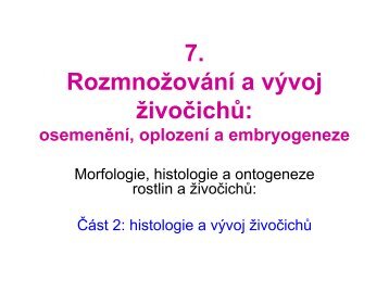 7. Rozmnožování a vývoj živočichů: osemenění, oplození ... - eAMOS