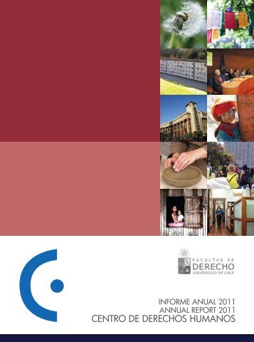 Descargar - Centro de Derechos Humanos - Universidad de Chile