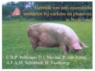 Gebruik van anti-microbiÃ«le middelen bij varkens en ... - SWAB