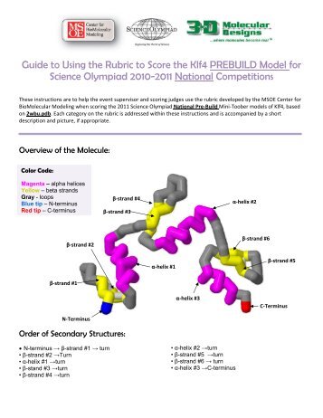 Guide to Prebuild Rubric - Center for BioMolecular Modeling
