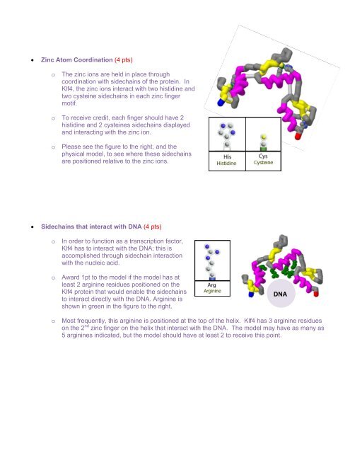 Guide to Prebuild Rubric - Center for BioMolecular Modeling