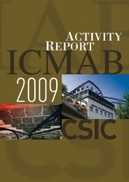 Report 2009 - icmab csic