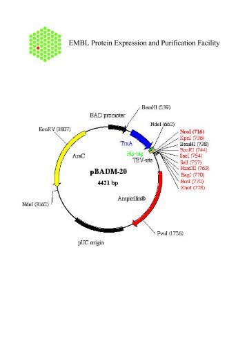 EMBL Protein Expression and Purification Facility