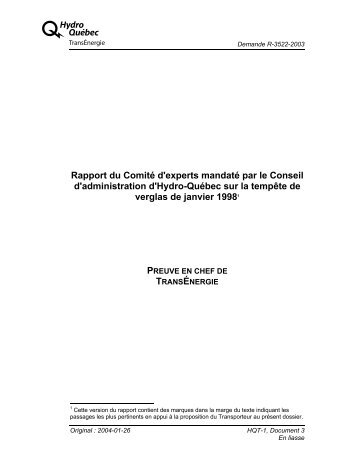 Rapport du ComitÃƒÂ© d'experts mandatÃƒÂ© par le Conseil d ...