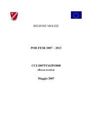 REGIONE MOLISE POR FESR 2007 â 2013 CCI ... - Ufficio Europa
