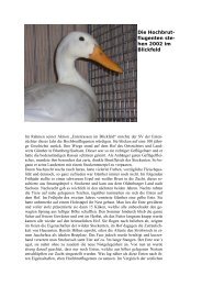 Hochbrutflugenten Internet.pub - Enten-sv.de