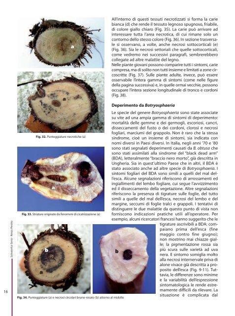 Le malattie del legno della vite di origine fungina - Sardegna ...