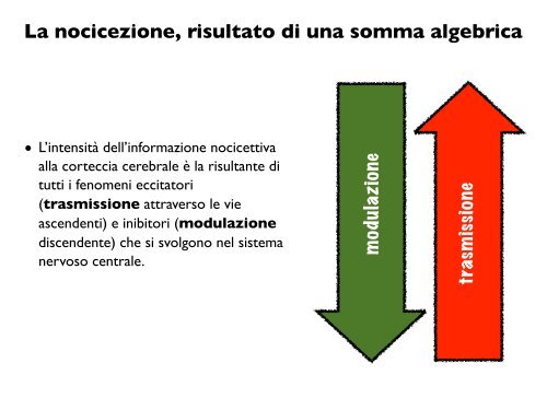 nocicezione - la percezione del dolore - CPRG