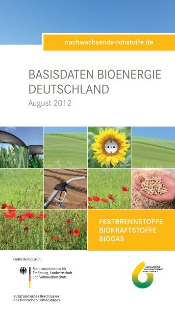Basisdaten Bioenergie Deutschland 2012 (deutsch) - BMELV
