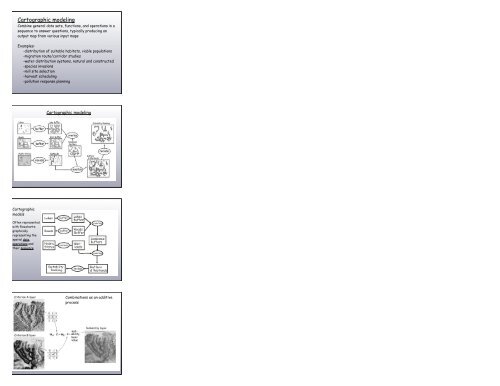 Models in GIS Cartographic models Spatio-temporal models