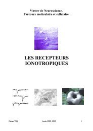 LES RECEPTEURS IONOTROPIQUES - CRN2M