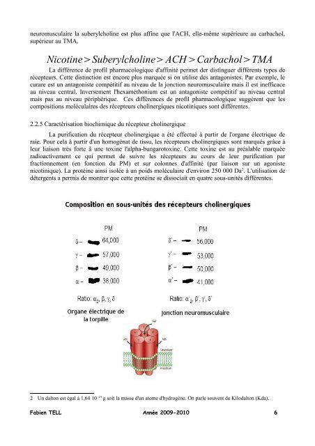 LES RECEPTEURS IONOTROPIQUES - CRN2M